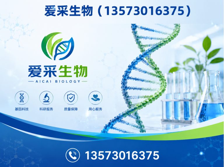 菏泽甜味剂展示图